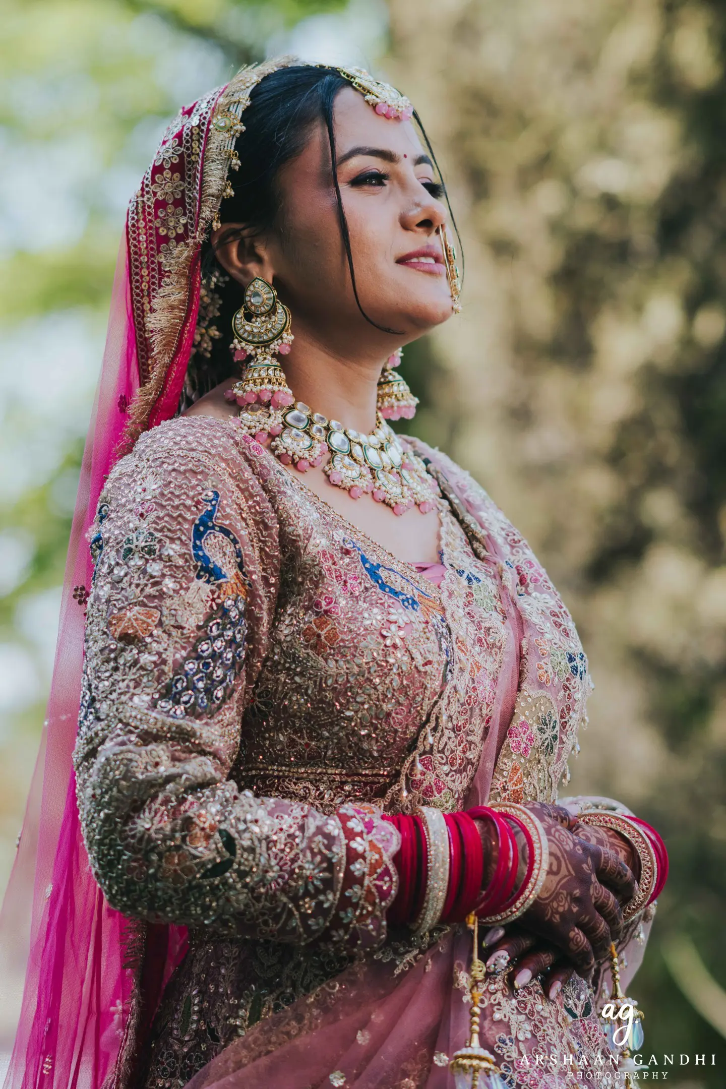 Portrait from Vikas and Sahni's jai mala couple
