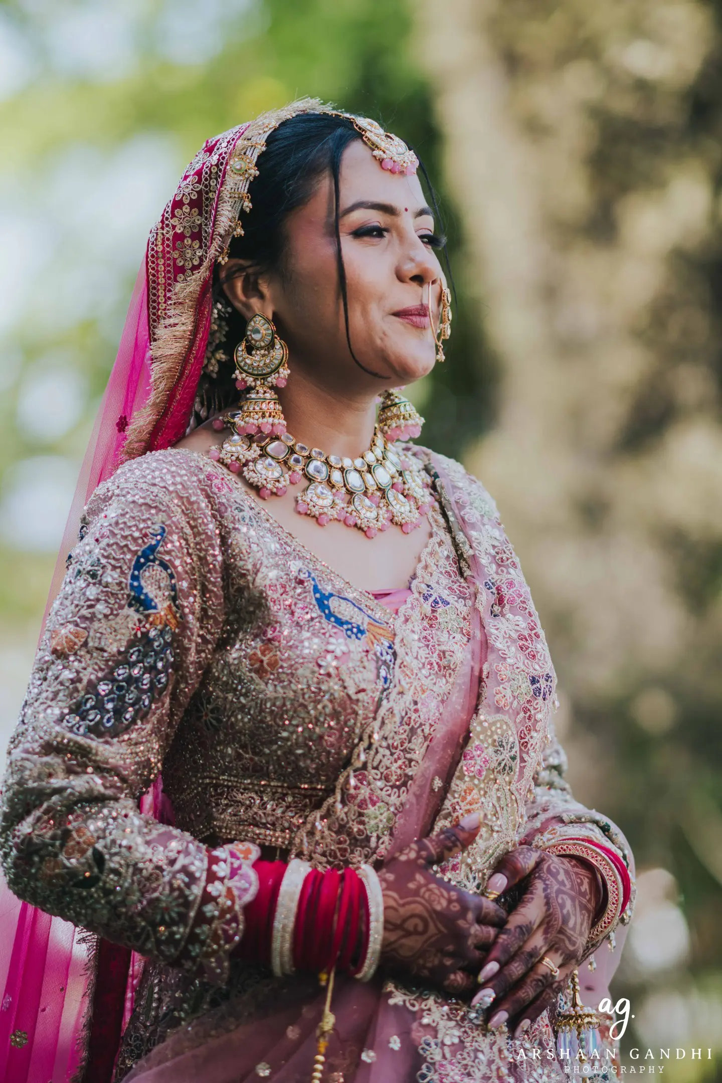 Portrait from Vikas and Sahni's jai mala couple