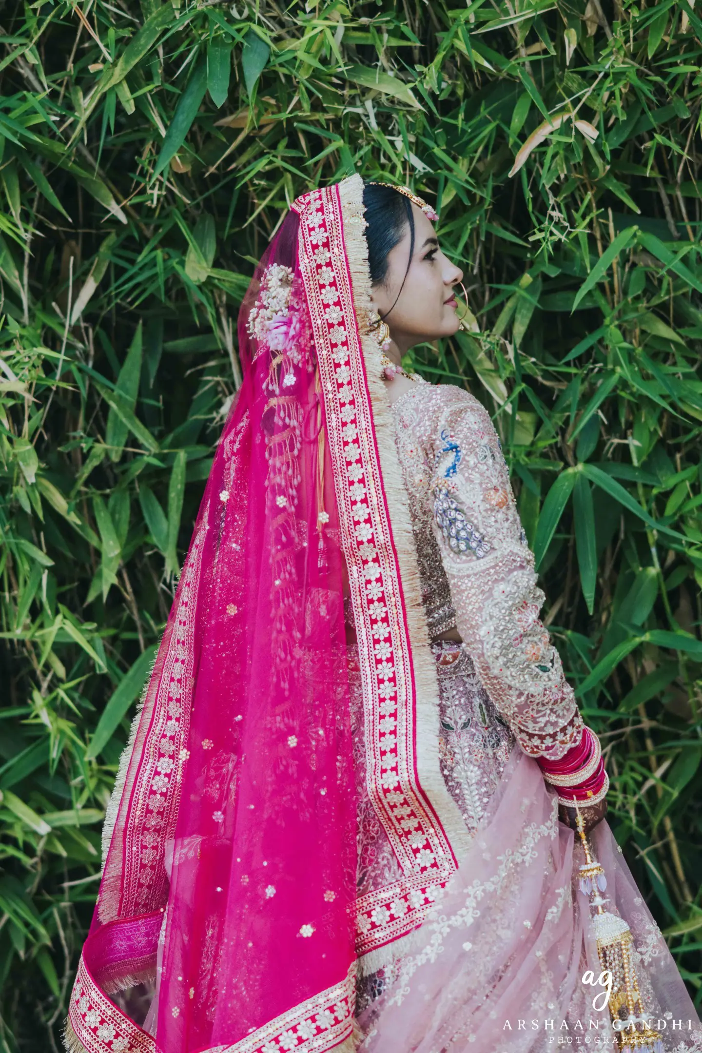 Portrait from Vikas and Sahni's jai mala couple