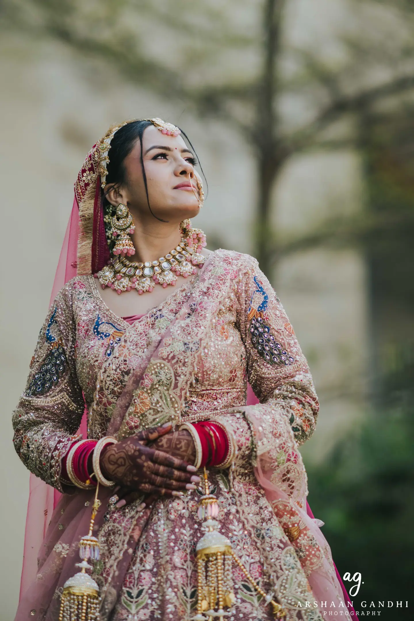Portrait from Vikas and Sahni's jai mala couple